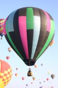 IMG_2536 
