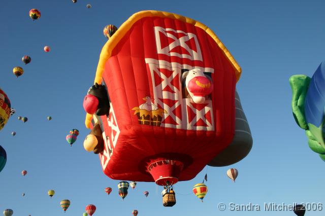 HIMG_2142 