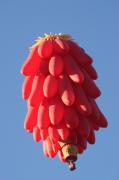 IMG_2770 