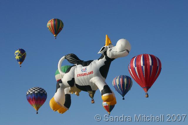IMG_1806 (71)