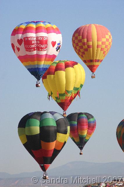 VIMG_3989