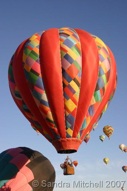 VIMG_5633