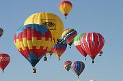 IMG_1806 (31)
