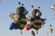 IMG_1806 (37)