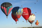 IMG_1806 (4)