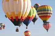 IMG_1806 (41)