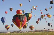 IMG_1806 (42)